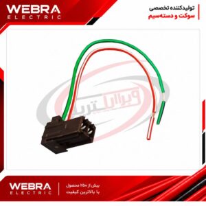 سوکت خطر عقب پژو دو خانه