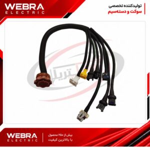 دسته سیم منیفولد پیکان S2000