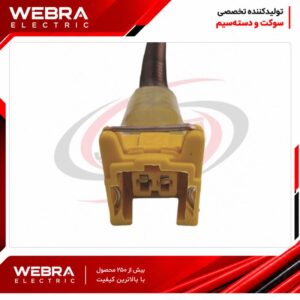 سوکت دو فیش همه کاره زرد آببندی