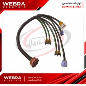 دسته سیم منیفولد پیکان زیمنس آببندی