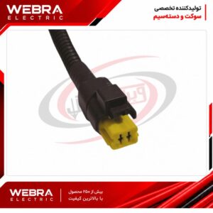 سوکت دو فیش سوزنی 206 زرد