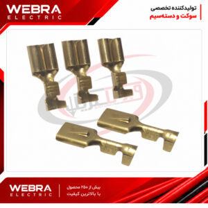 سر سیم کولری پشت خاردار
