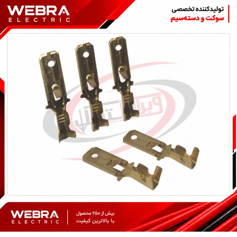 سر سیم نری کوب خاردار