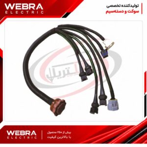 دسته سیم منیفولد پیکان زیمنس