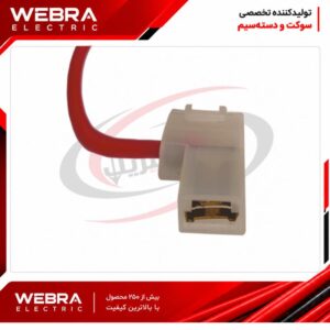 سوکت تک خانه پرچمی